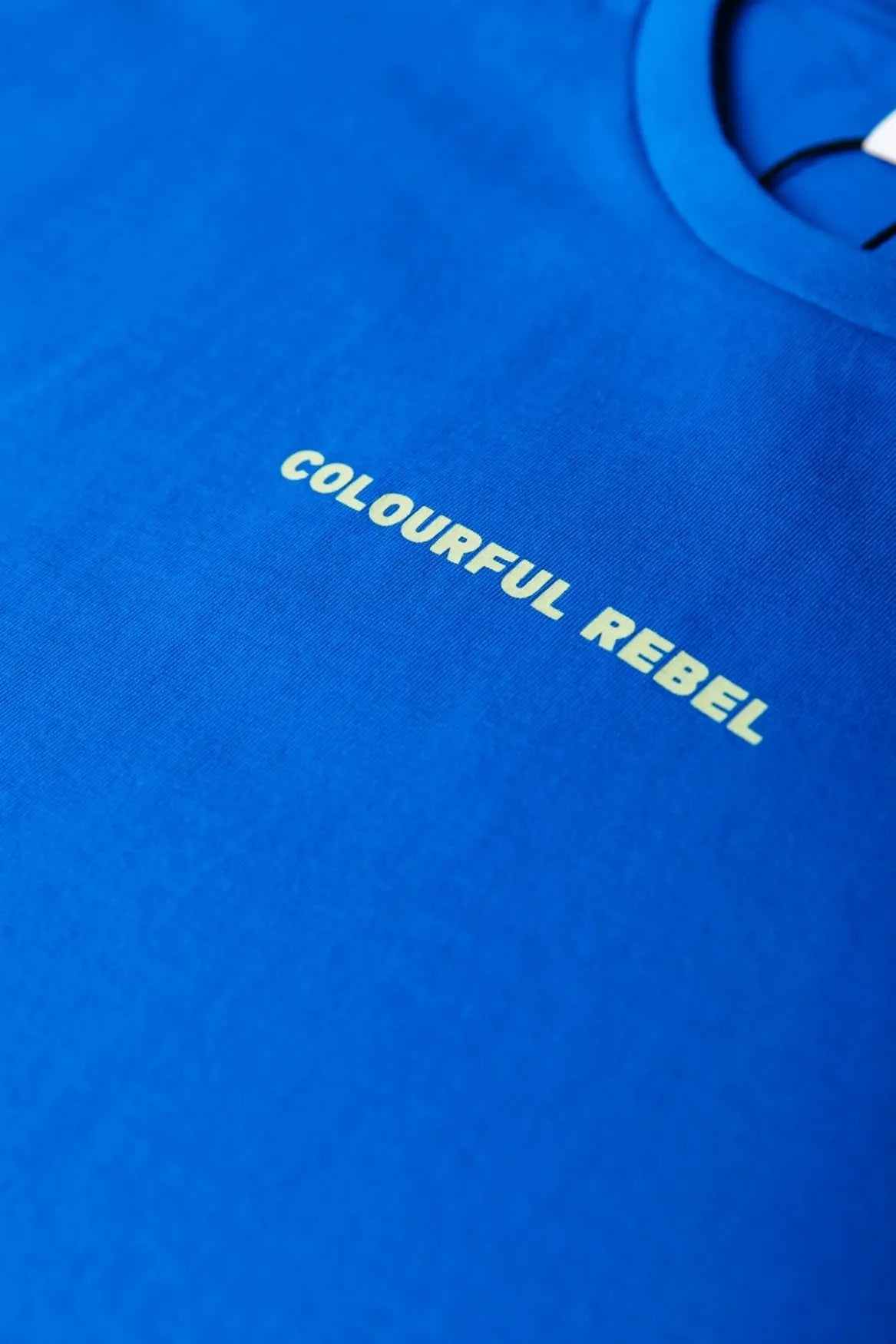 Uni Logo Boxy Tee Colourful Rebel