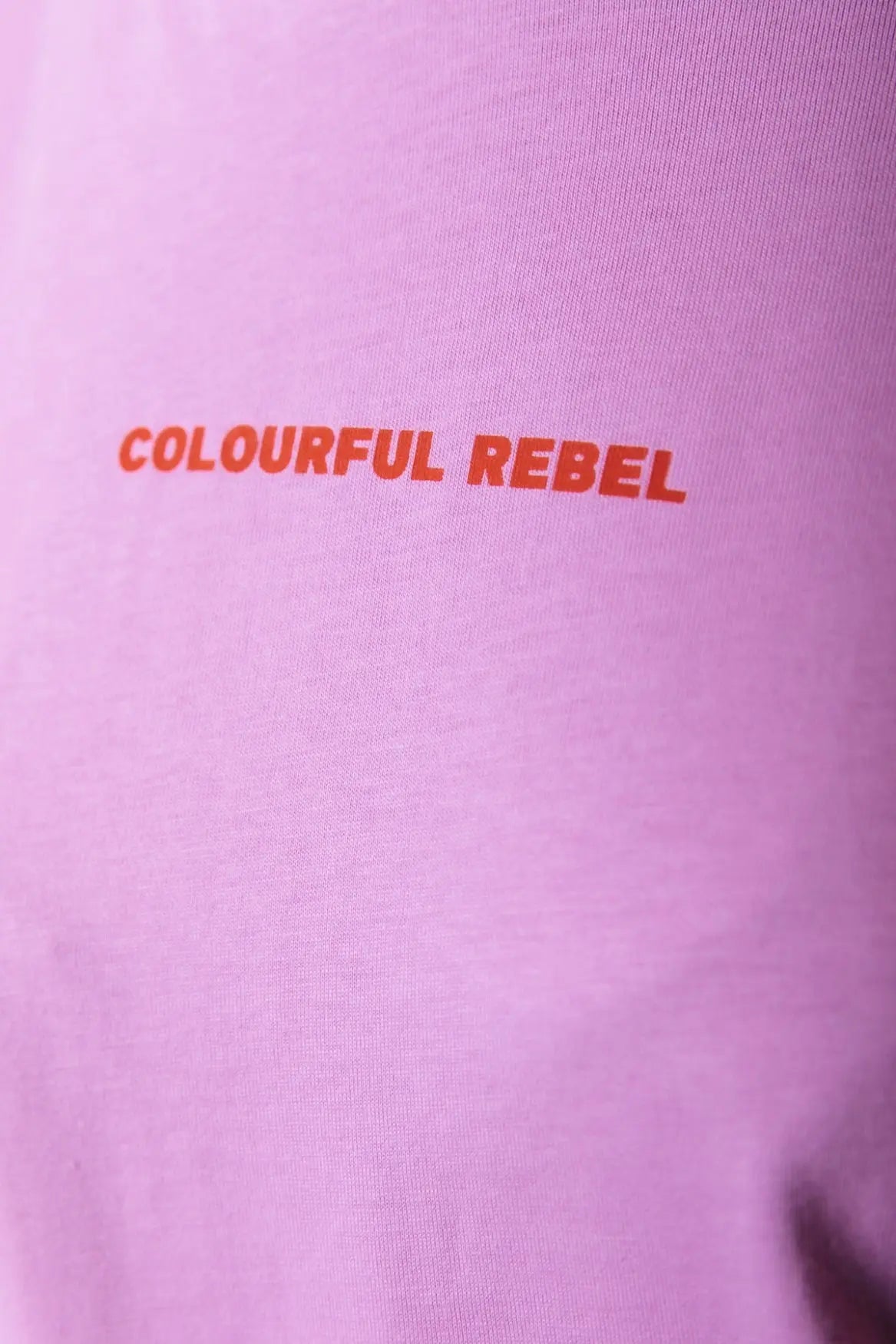 Uni Logo Boxy Tee Colourful Rebel